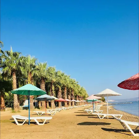 فيلة Oguz